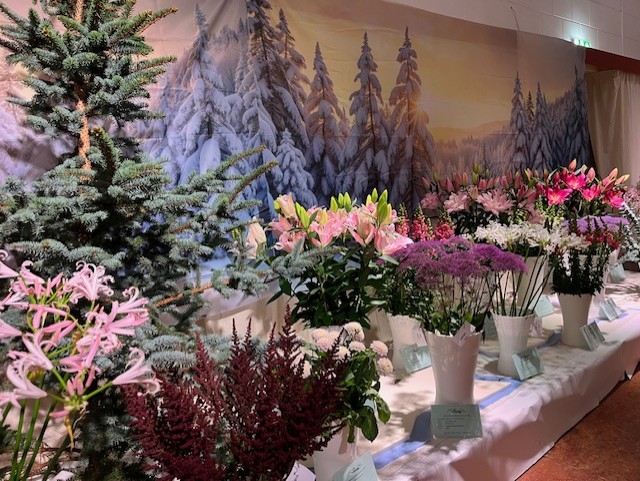 tentoonstelling3 2025