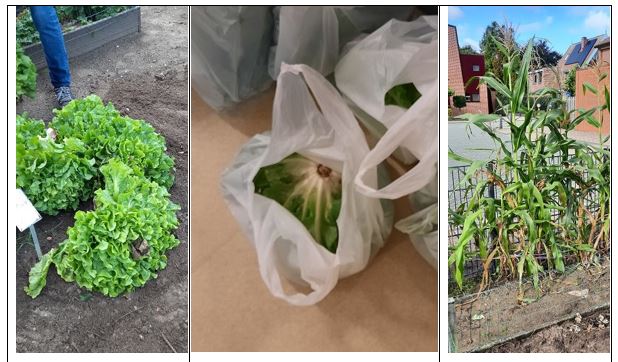 draaiboek september 2023